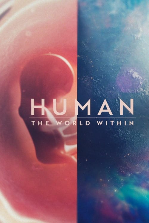 Human The World Within İzle