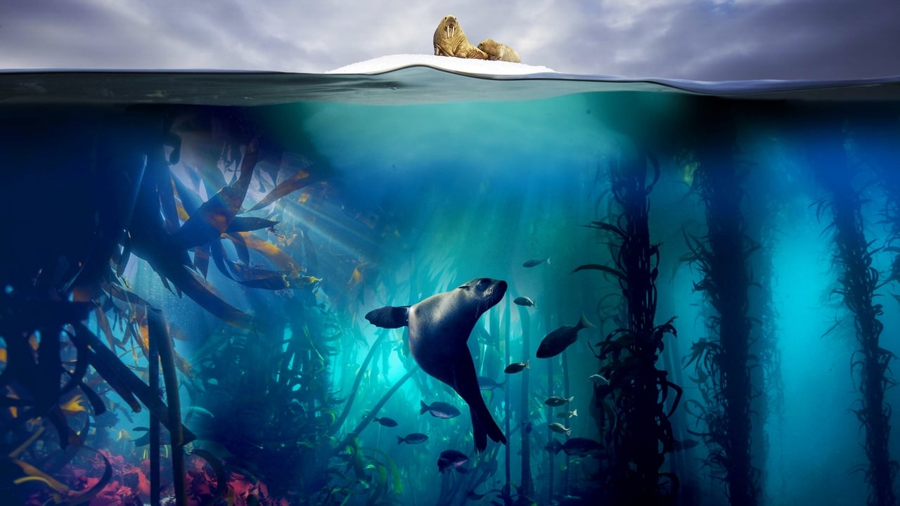Blue Planet II İzle